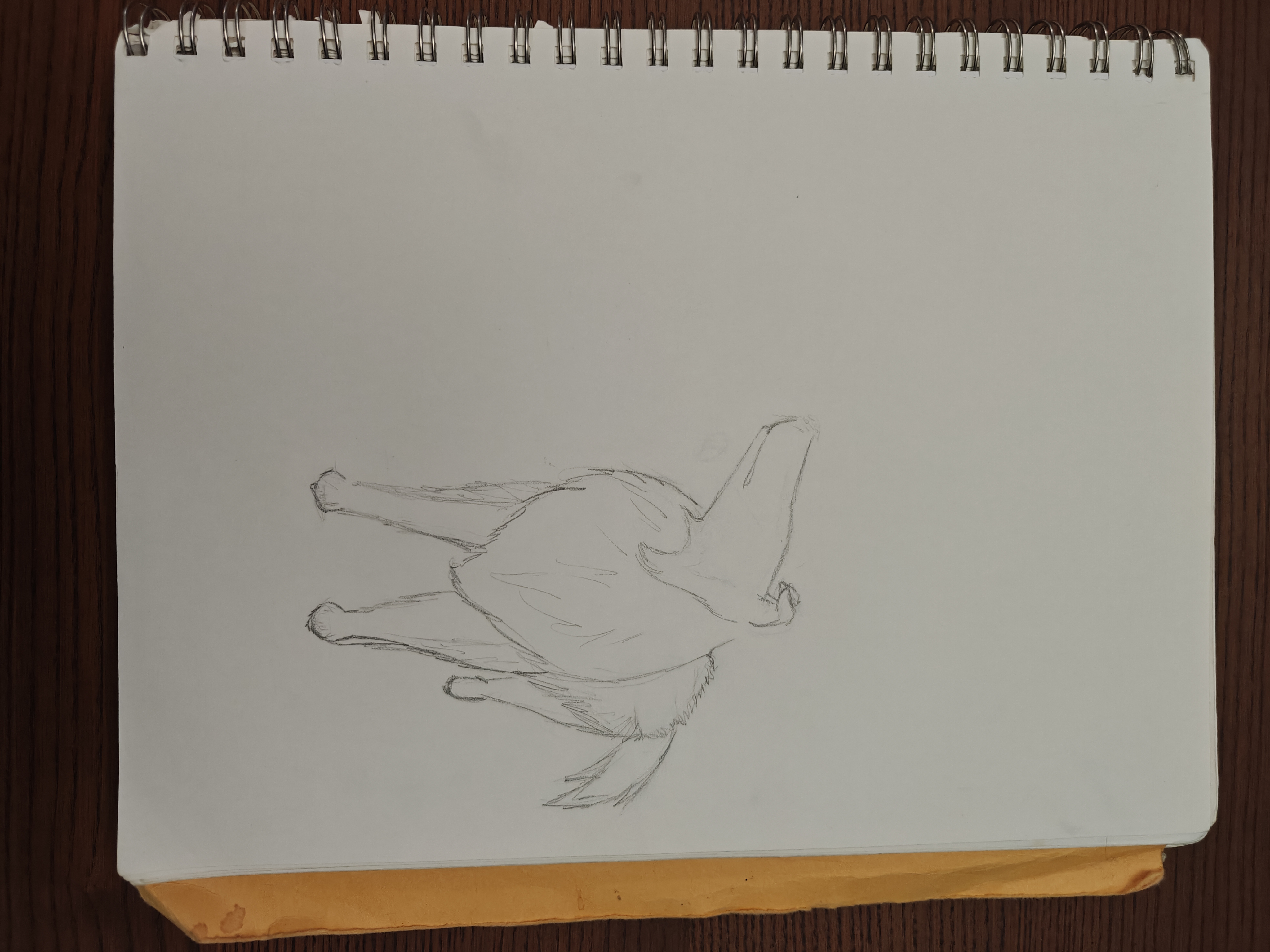 pencil